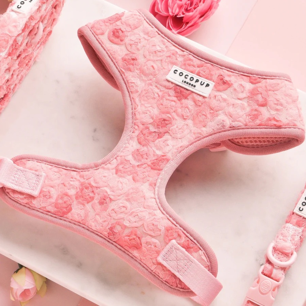 Cocopup Harness